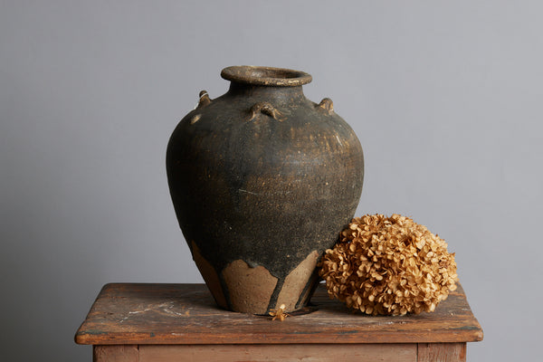 Early Brown & Tan Sawankhalok Storage Container from the Spice Trade