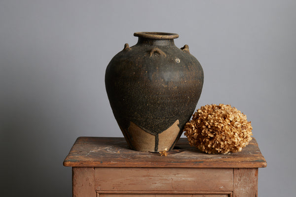 Early Brown & Tan Sawankhalok Storage Container from the Spice Trade