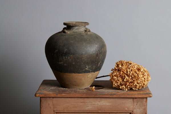 Early Brown & Tan Sawankhalok Storage Container from the Spice Trade