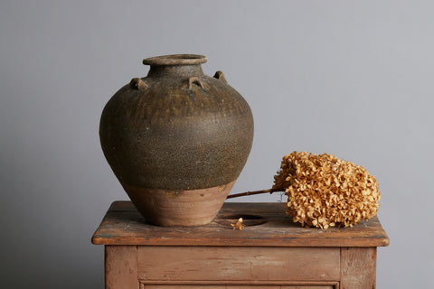 Early Brown & Tan Sawankhalok Storage Container from the Spice Trade