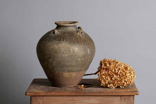 Early Brown & Tan Sawankhalok Storage Container from the Spice Trade