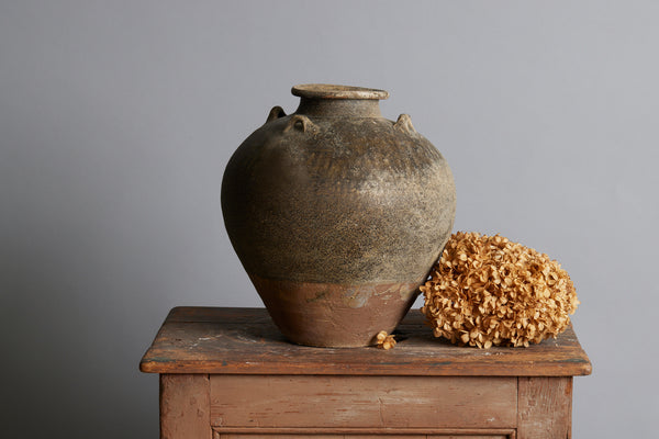 Early Brown & Tan Sawankhalok Storage Container from the Spice Trade