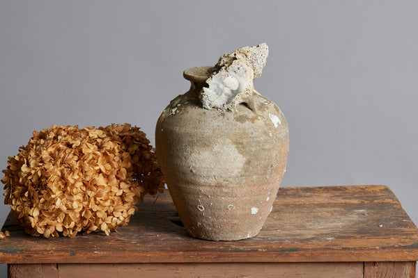 Sawankhalok Shipwreck Storage Jar with Oyster Encrustations