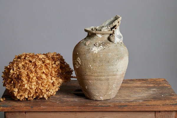 Sawankhalok Shipwreck Storage Jar with Oyster Encrustations