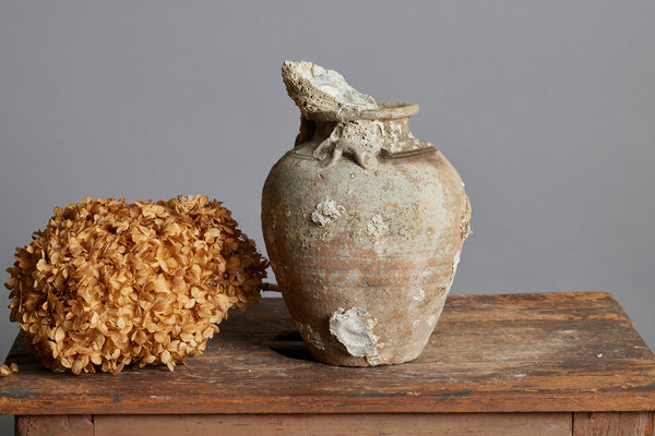 Sawankhalok Shipwreck Storage Jar with Oyster Encrustations