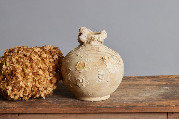 Song Dynasty Coconut Shape Shipwreck Storage Bottle with Shell & Coral Encrustations