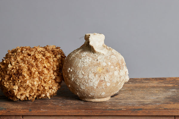 Two Handled Song Dynasty Coconut Shape Shipwreck Storage Bottle with Shell & Coral Encrustations