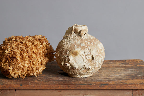 Two Handled Song Dynasty Coconut Shape Shipwreck Storage Bottle with Shell & Coral Encrustations