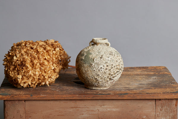 Small Song Dynasty Coconut Shape Shipwreck Storage Bottle with Shell & Coral Encrustations