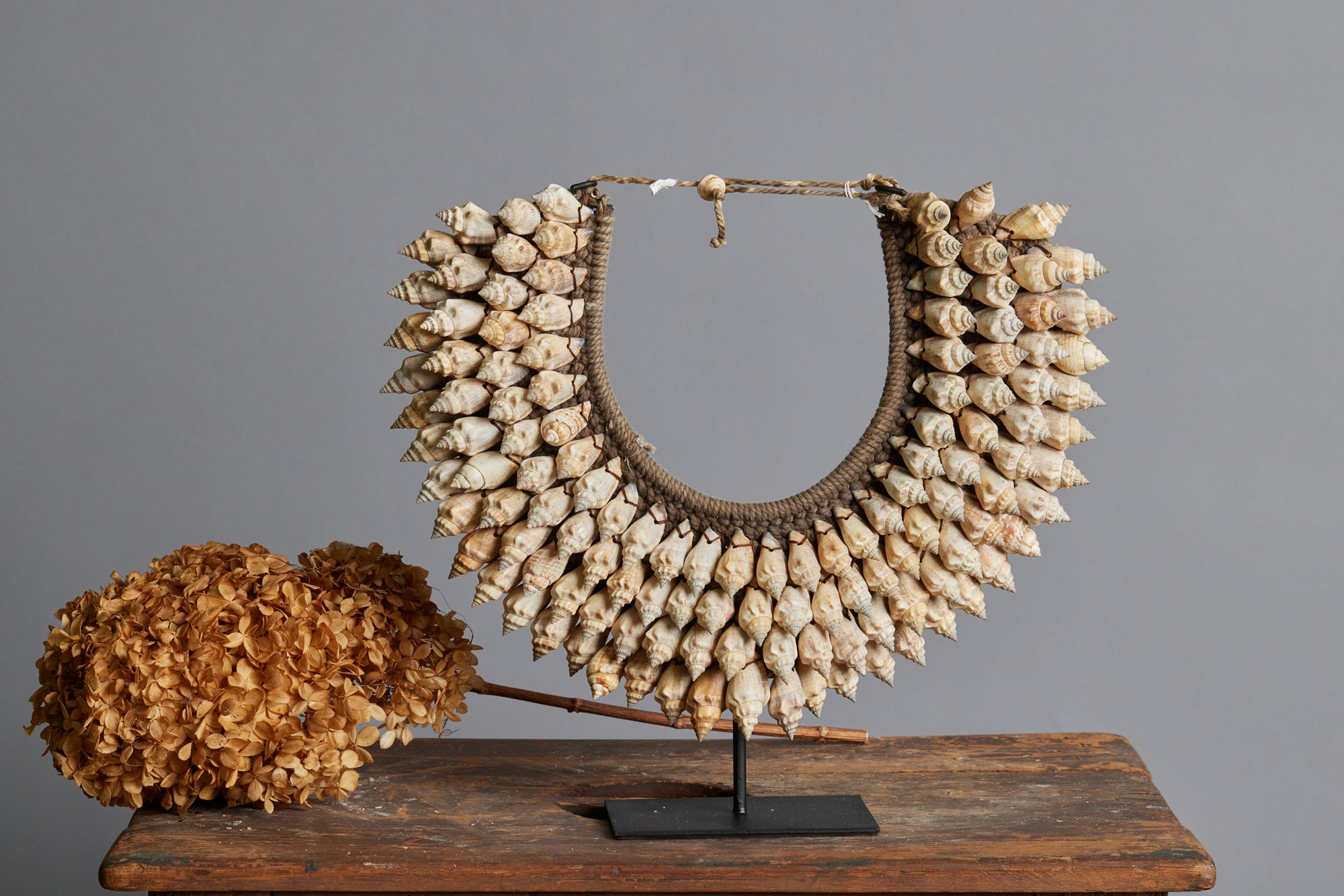 Large White Welk Ceremonial Shell Necklace