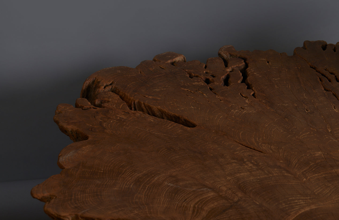 Coffee Table Made Out of an Ancient Slab of Old Growth Teak Mounted on Simple Legs