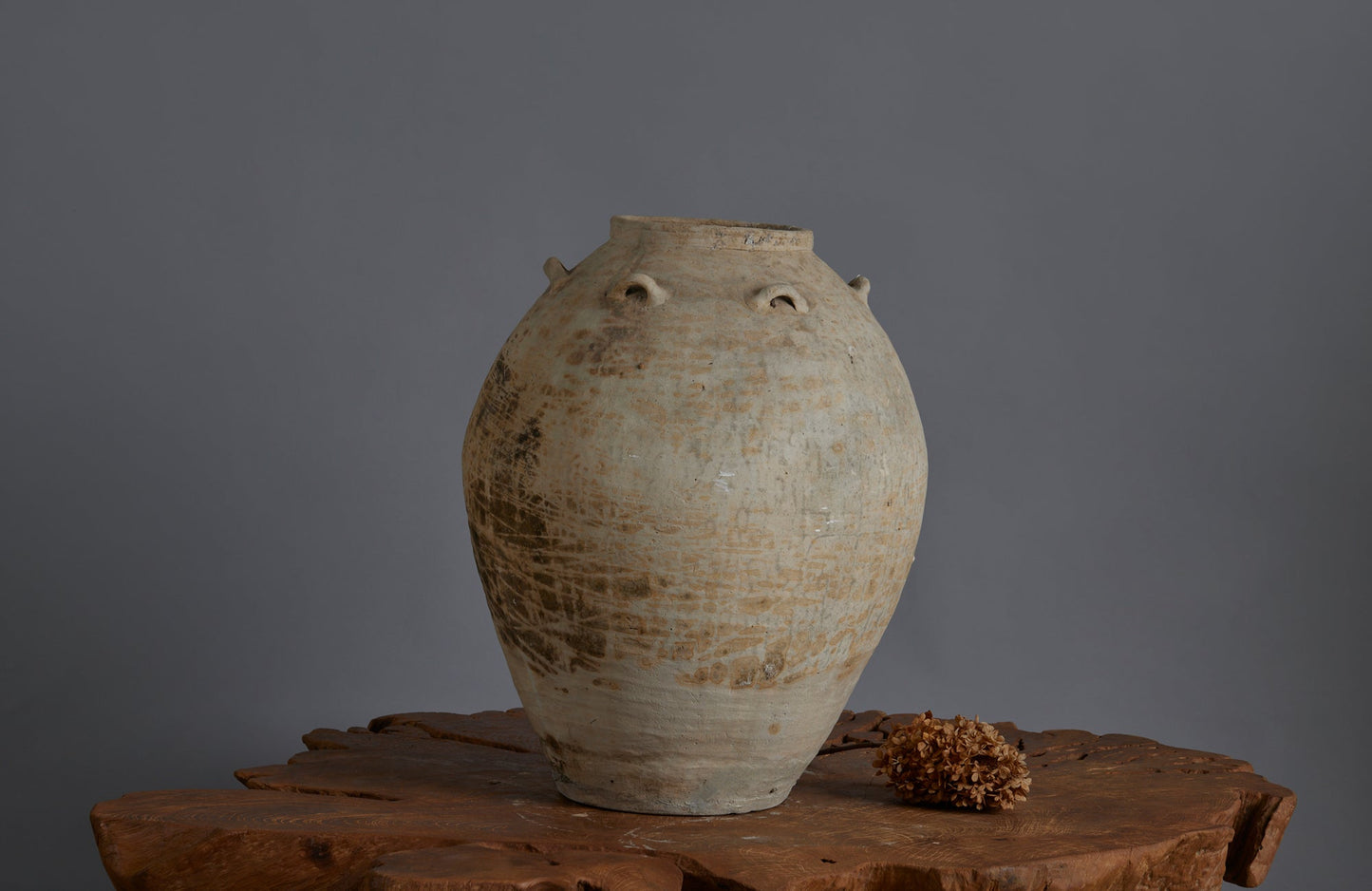 Chinese Tsung Dynasty White Glazed Extra Large Storage Vessel with Applied Ring Handles