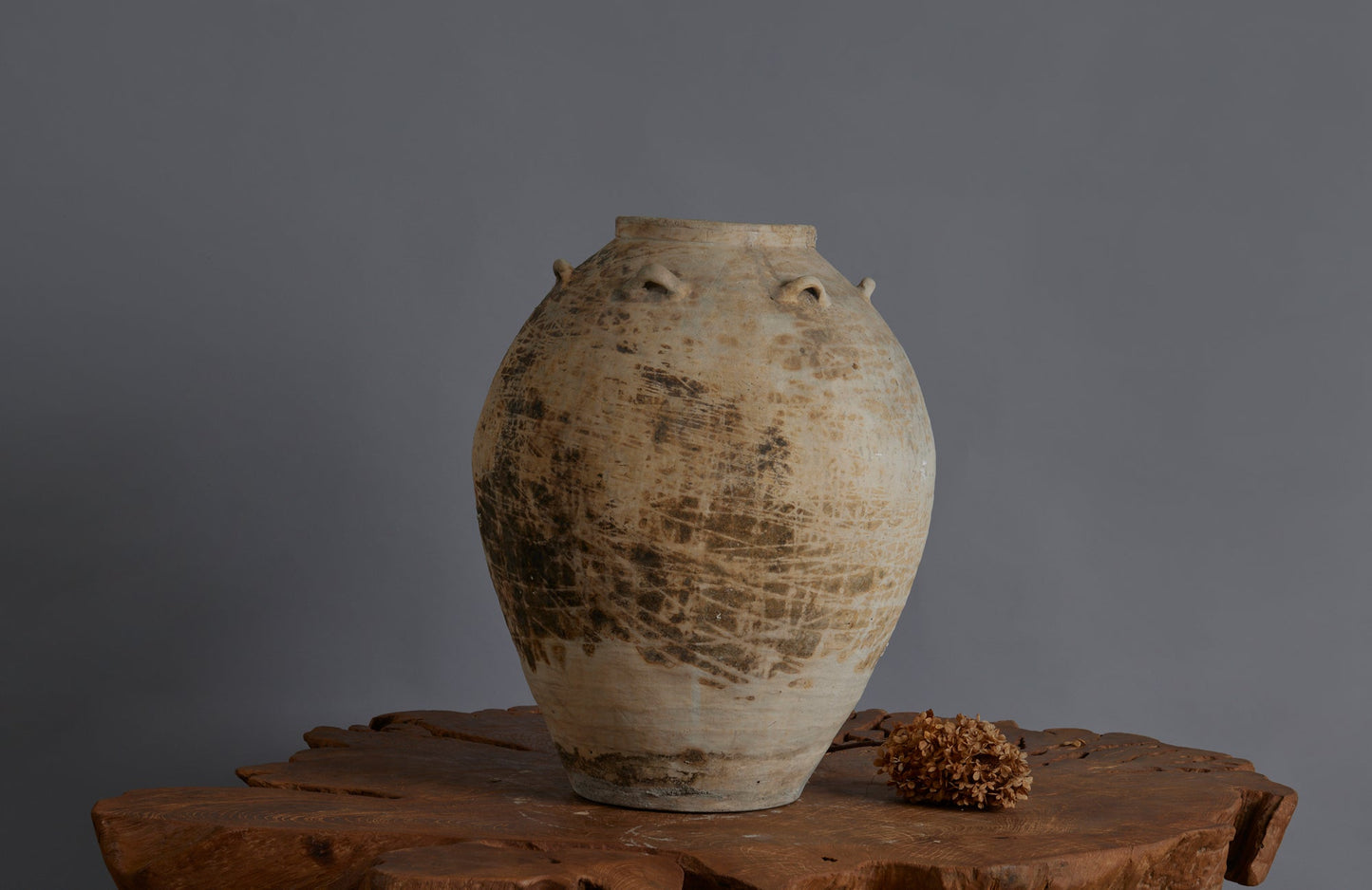 Chinese Tsung Dynasty White Glazed Extra Large Storage Vessel with Applied Ring Handles