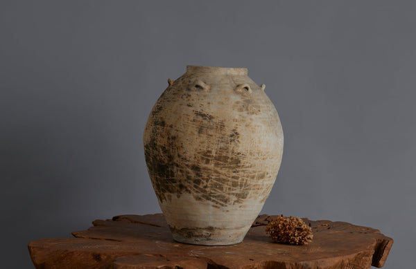 Chinese Tsung Dynasty White Glazed Extra Large Storage Vessel with Applied Ring Handles