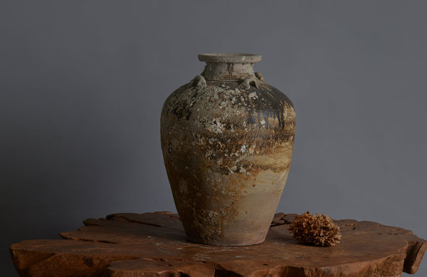 Large shipwreck Sawankhalok Pot with Shell Encrustations and Traces of Old brown Glaze