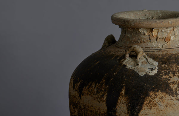 Large shipwreck Sawankhalok Pot with Shell Encrustations and Traces of Old brown Glaze