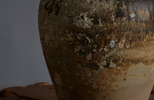 Large shipwreck Sawankhalok Pot with Shell Encrustations and Traces of Old brown Glaze