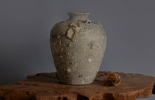 Extra Large Sawankhalok Shipwreck Pot with Oyster Shell Encrustations