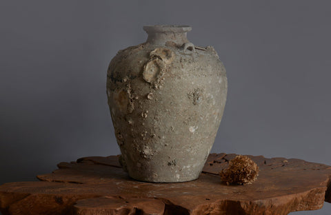 Extra Large Sawankhalok Shipwreck Pot with Oyster Shell Encrustations