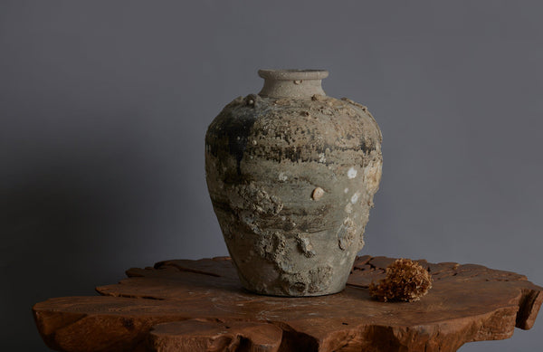 Extra Large Sawankhalok Shipwreck Pot with Oyster Shell Encrustations