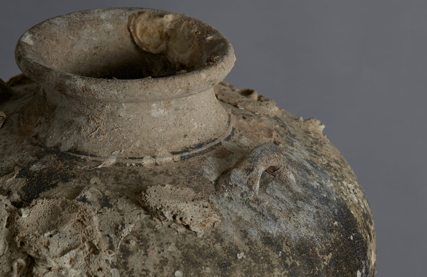 Extra Large Sawankhalok Shipwreck Pot with Oyster Shell Encrustations