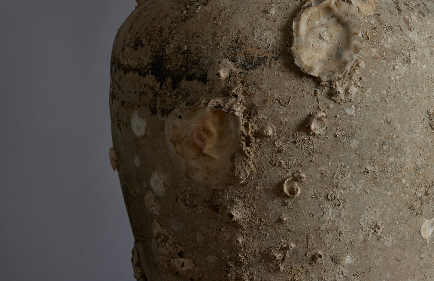 Extra Large Sawankhalok Shipwreck Pot with Oyster Shell Encrustations