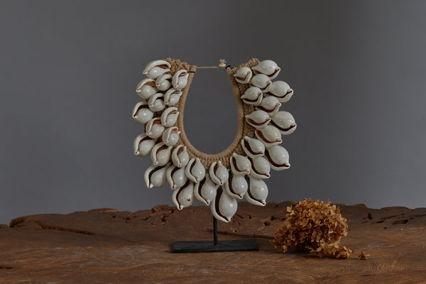 White Cowrie Shell Ceremonial Necklace from Papua New Guinea