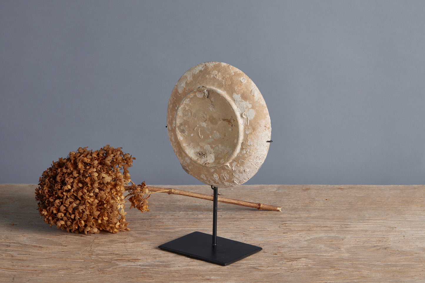 18th Century Blanc de Chine China Trade Shipwreck Saucer Mounted on Stand