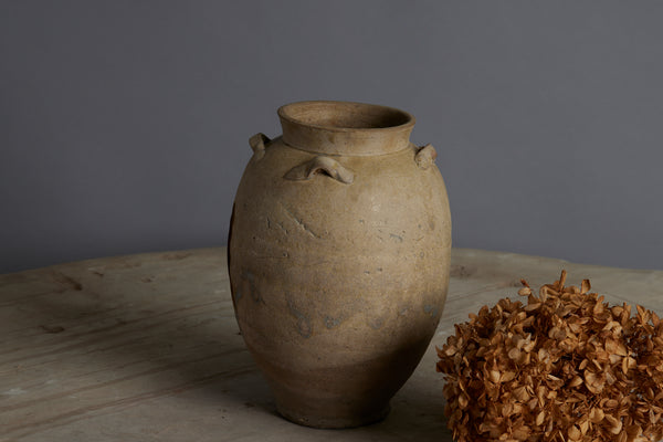 Cream Glaze Colored Northern Sung Dynasty Storage Pot Discovered in the Musi River Basin