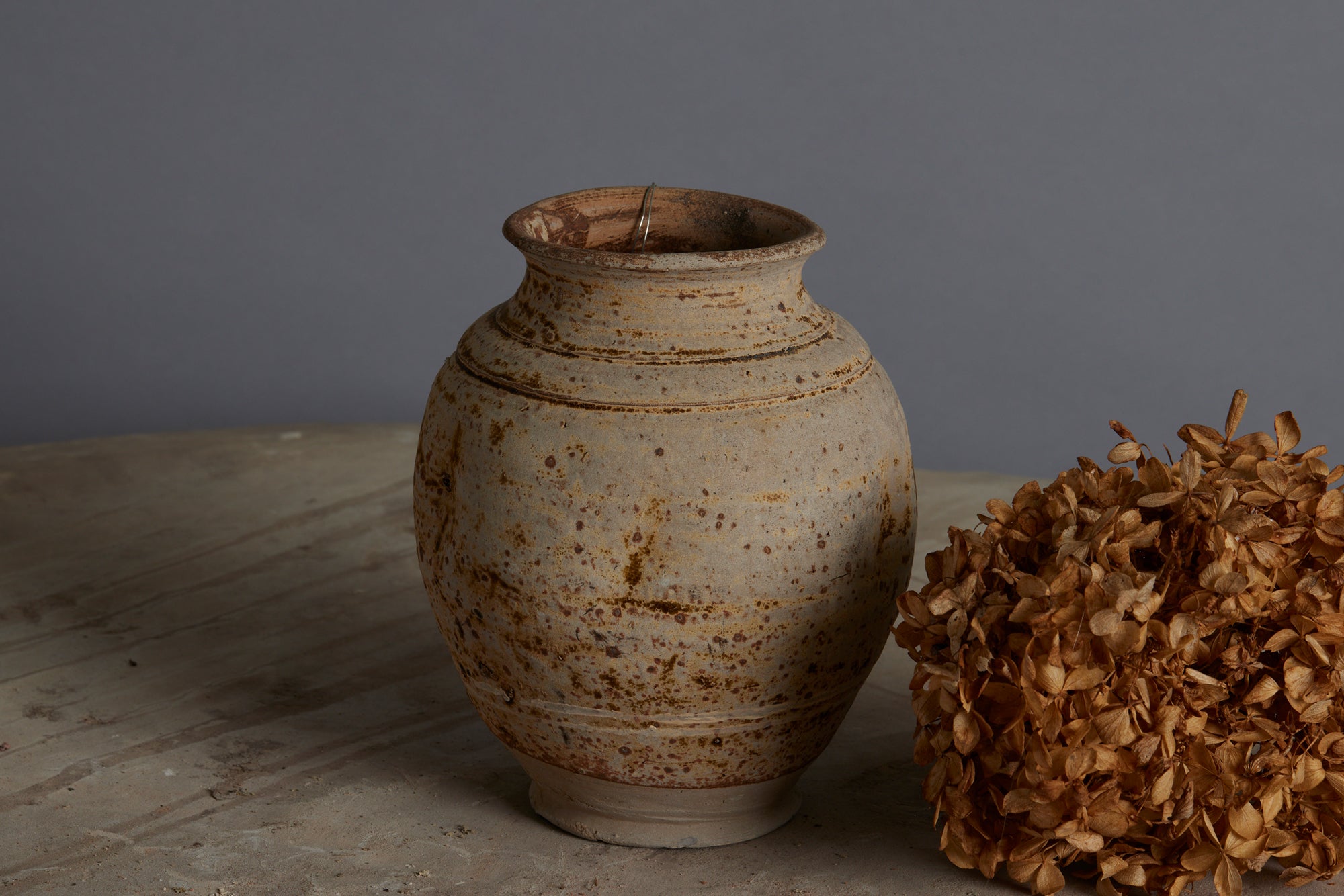 Small Light Colored Sung Dynasty Jar from a Shipwreck