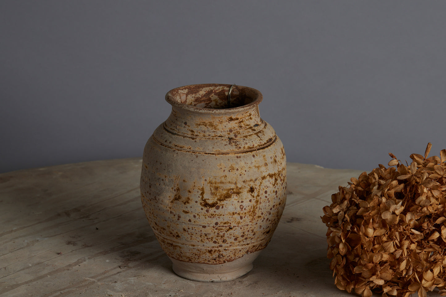 Small Light Colored Sung Dynasty Jar from a Shipwreck