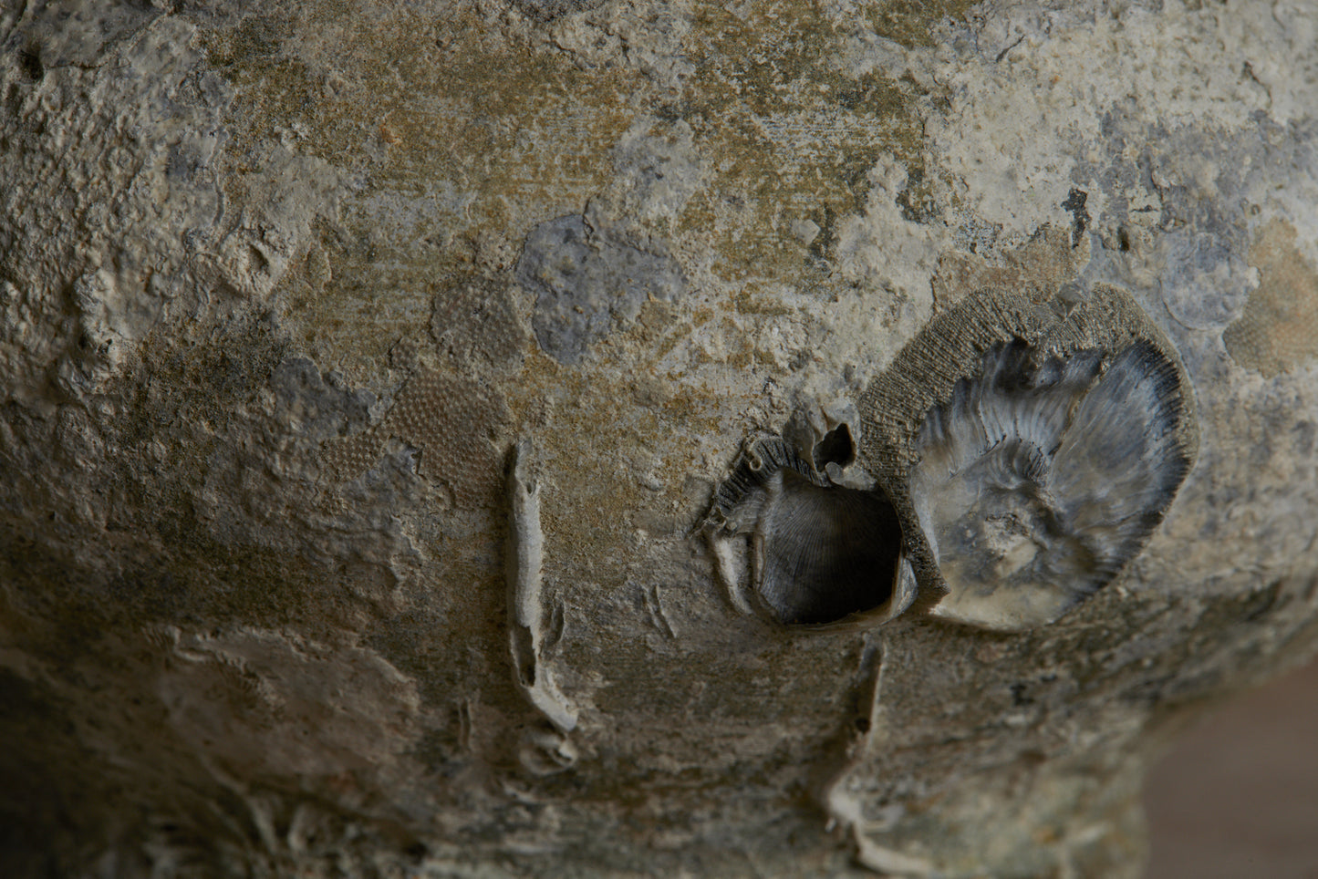 Squat Shaped White Sung Dynasty Shipwreck Jar found off the Coast of Java
