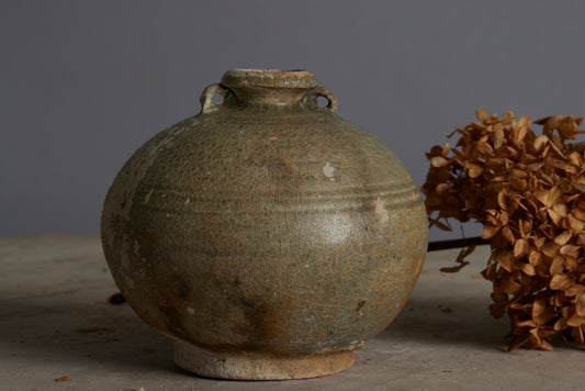 Two Handle Celadon Glaze Coconut Shape Bottle found in Musi River Basin in Sumatra