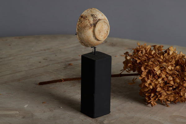 Blanc de Chine Shipwreck Tea Bowl Mounted on a Stand