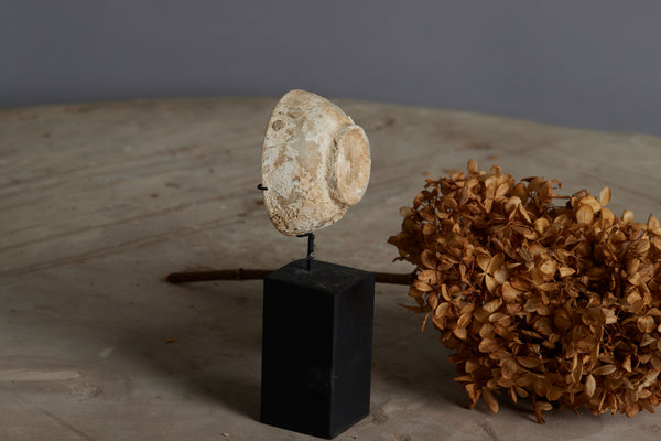 Blanc de Chine Shipwreck Tea Bowl Mounted on a Stand