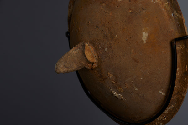 Sung Dynasty Lid with a Fish Shaped Finial from a Shipwreck Mounted on a Stand