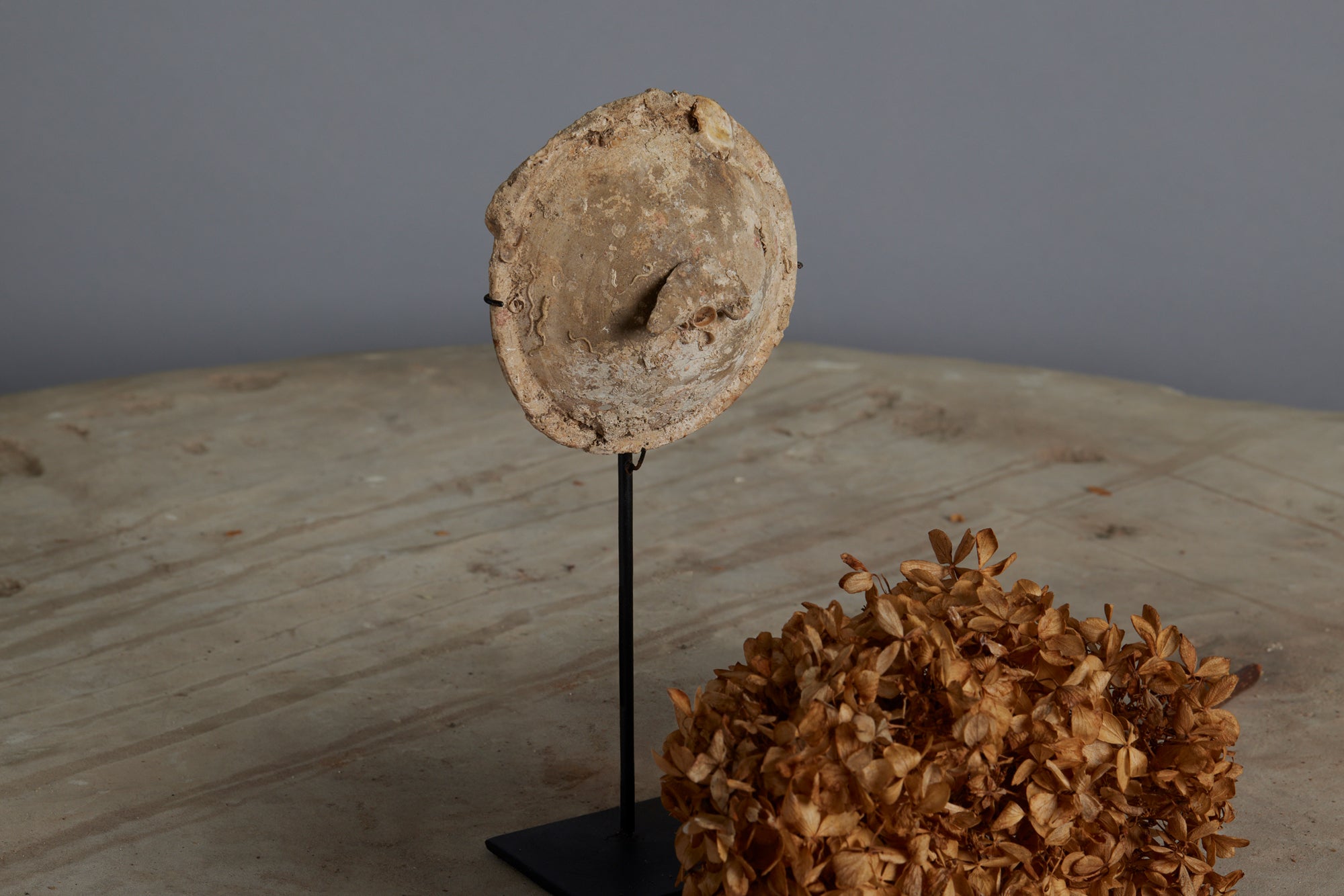 Sung Dynasty Lid with a Fish Shaped Finial from a Shipwreck Mounted on a Stand