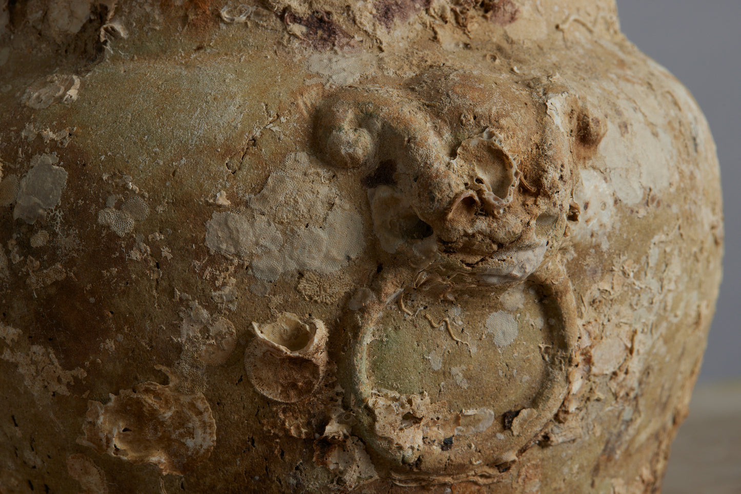 Mid 19th Century Chinese Celadon Ginger Jars from a Shipwreck off the Coast of Borneo