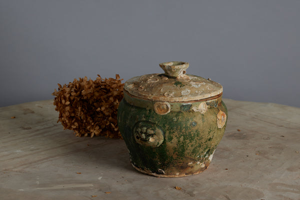 Mid 19th Century Chinese Celadon Ginger Jars from a Shipwreck off the Coast of Borneo
