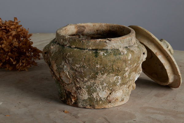 Mid 19th Century Chinese Celadon Ginger Jars from a Shipwreck off the Coast of Borneo