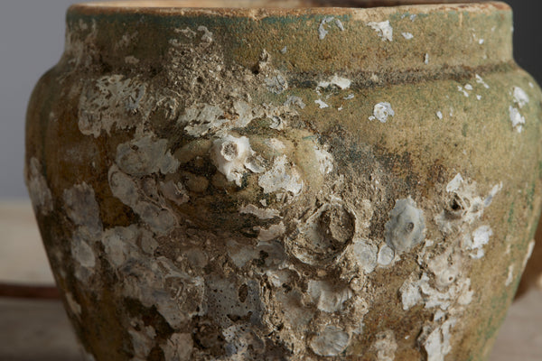 Medium Size Mid 19th Century Chinese Celadon Ginger Jars from a Shipwreck off the Coast of Borneo
