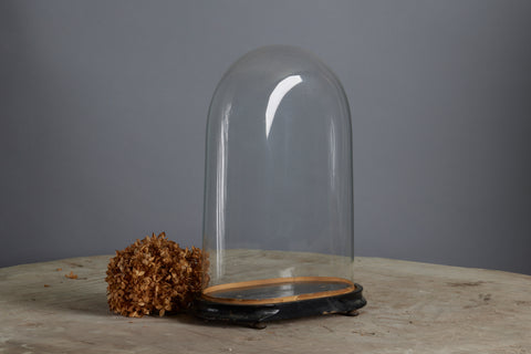 Tall Hand Blown Glass French Dome on a Base