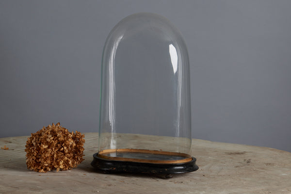 Tall Hand Blown Glass French Dome on a Base