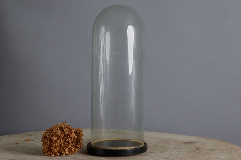Tall Hand Blown Glass French Dome on a Base
