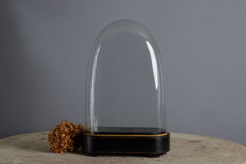 Tall Hand Blown Glass French Dome on a Base