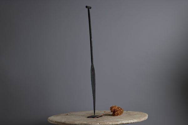 A Beautifully Carved Ulin Paddle Found on the Bottom of a River in Borneo