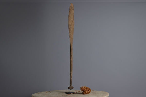 A Beautifully Carved Ulin Paddle Found on the Bottom of a River in Borneo