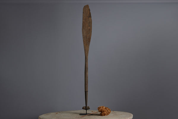 A Beautifully Carved Ulin Paddle Found on the Bottom of a River in Borneo