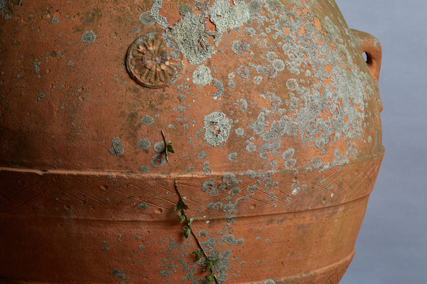 Large Late 19th Century/Early 20th Century Tuscan Oil Jar