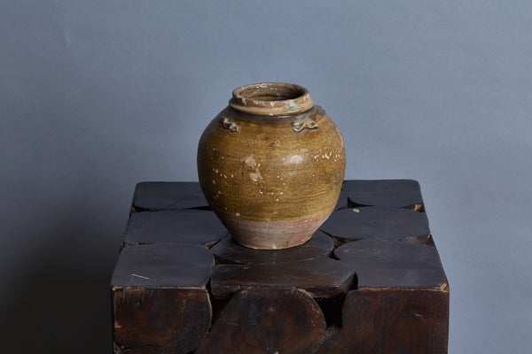 17th Century Shipwreck Pot Discovered off the Coast of Java